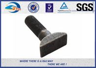 Black Anodize / Dacroment Fastening Railway Bolt Fish Bolt And Nuts