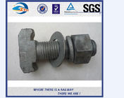 Railway Sleeper Forged Railway Bolt , M20 M22 Fish Bolts And Nuts